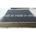 Good Quality Panel and Roll Crimped Wire Mesh (XA-CWM10)